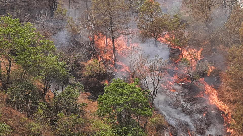 आगलागीबाट रोल्पाको पिराले गाउँका २५ घर जले- समाचार - कान्तिपुर समाचार