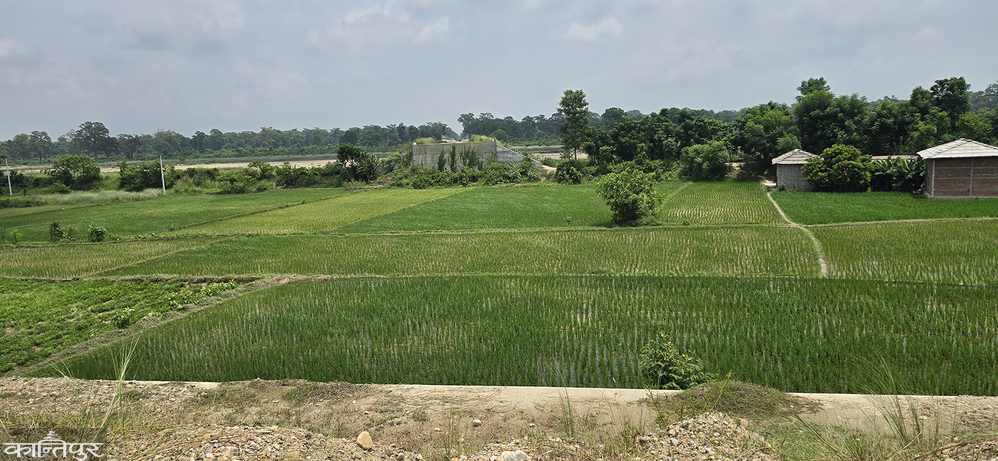 The compensation dispute on the Mechi-Mahakali train was not resolved for 6 years