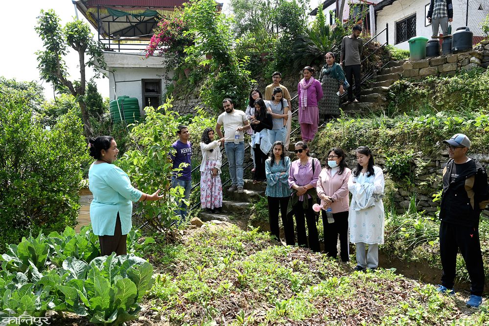 Nabil School program in collaboration with Trivi, 60 startups in operation