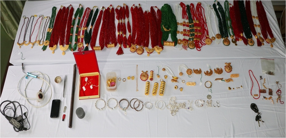 Uncle-nephew gang involved in theft arrested